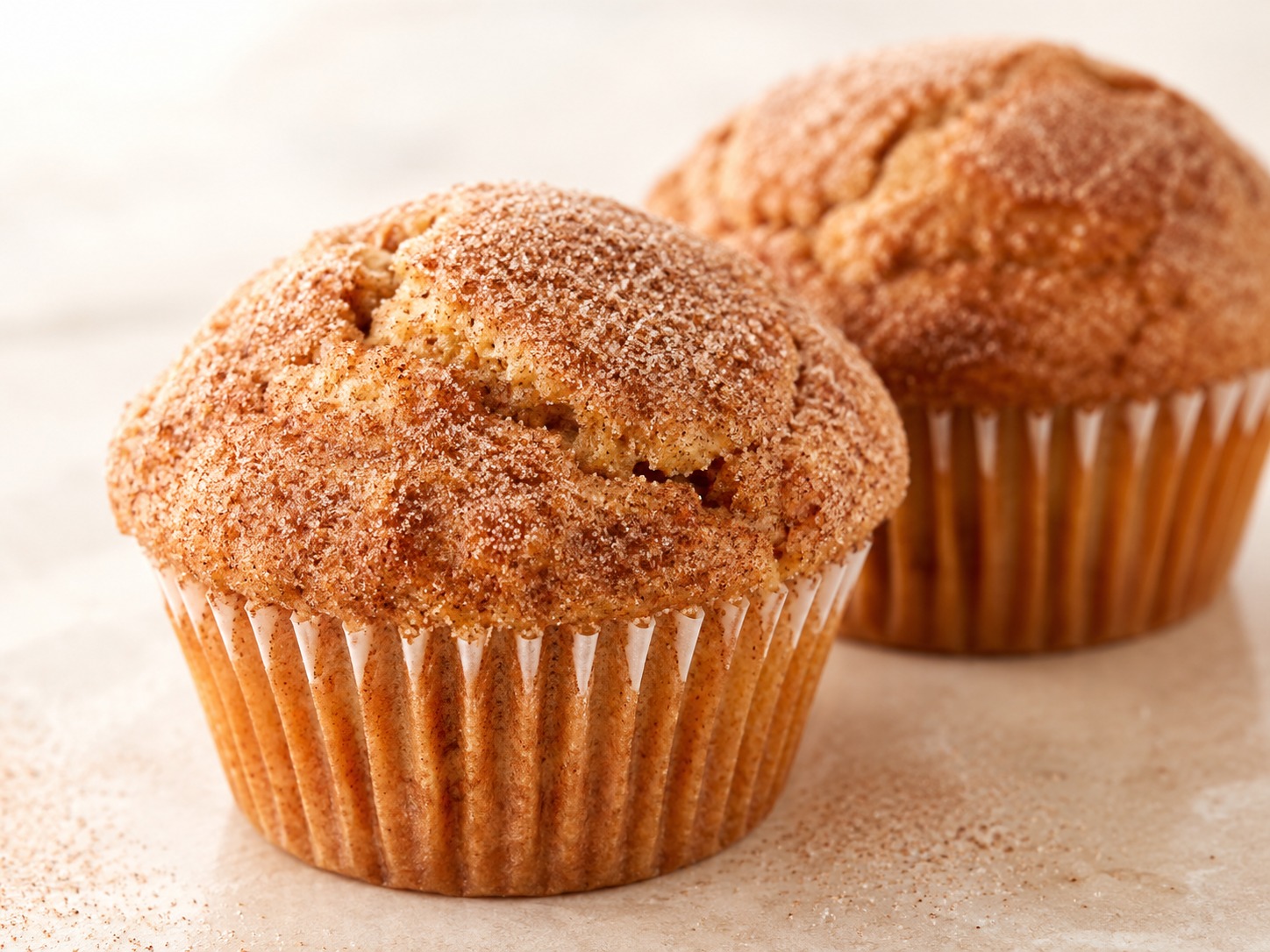 Cinnamon Dust Muffins